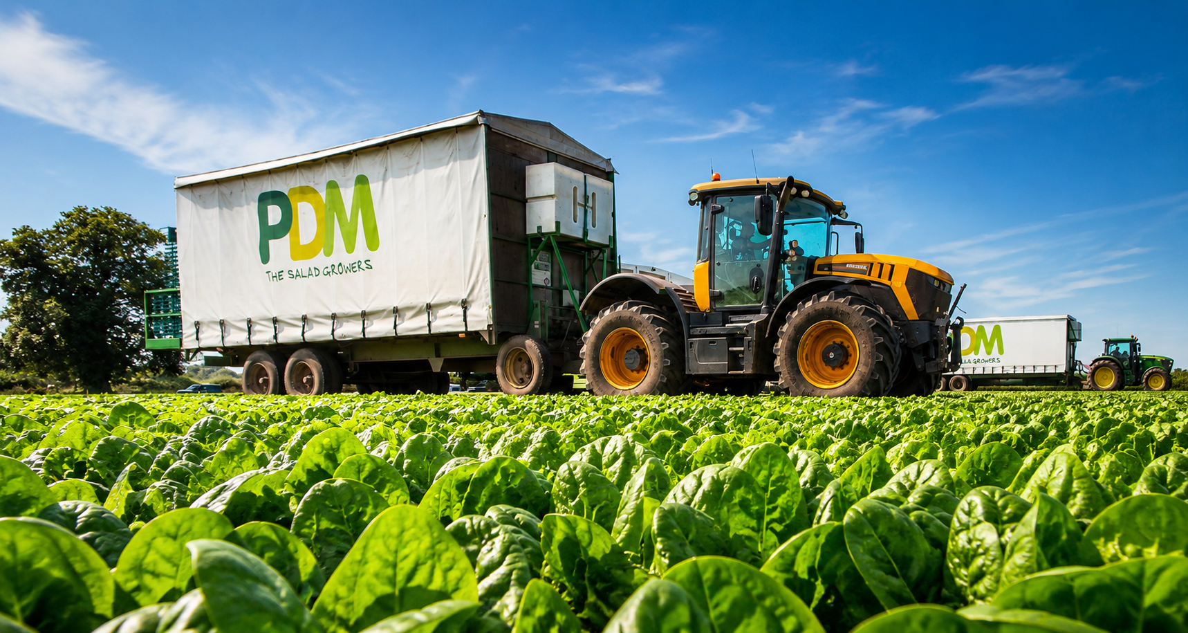 Inside PDM Produce: Innovation at Commercial Scale — 4Sight agriculture article