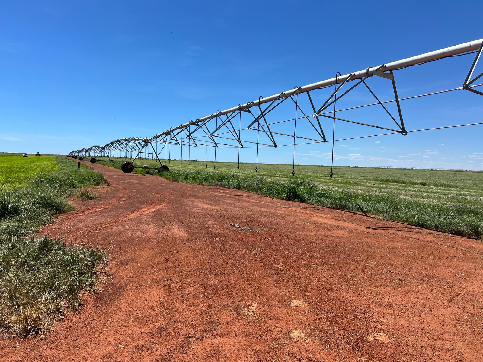 In the Spotlight: Pardoo Wagyu — 4Sight agriculture article cover image