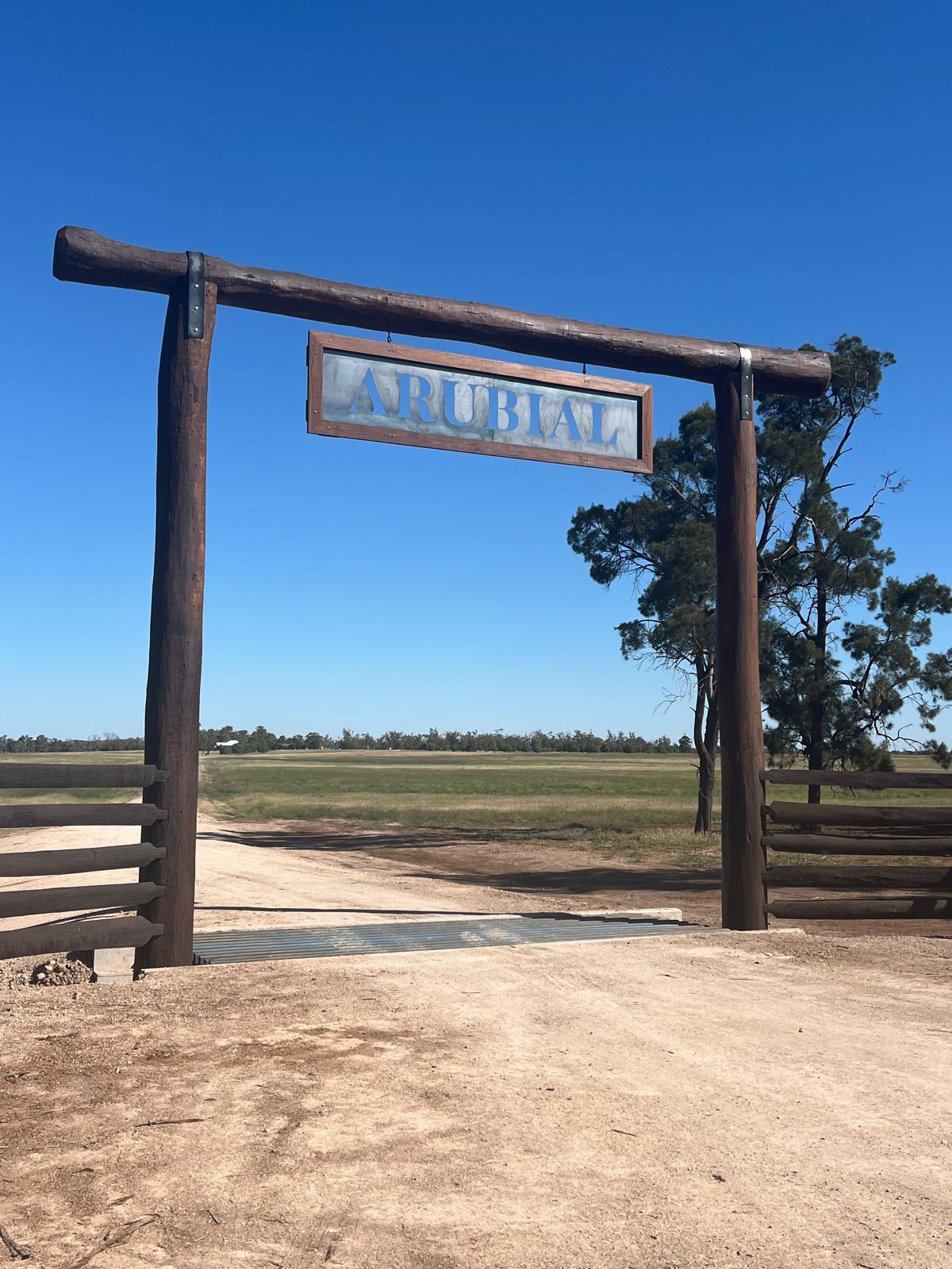 In the Spotlight: Arubial Wagyu & Lillyvale — 4Sight agriculture article