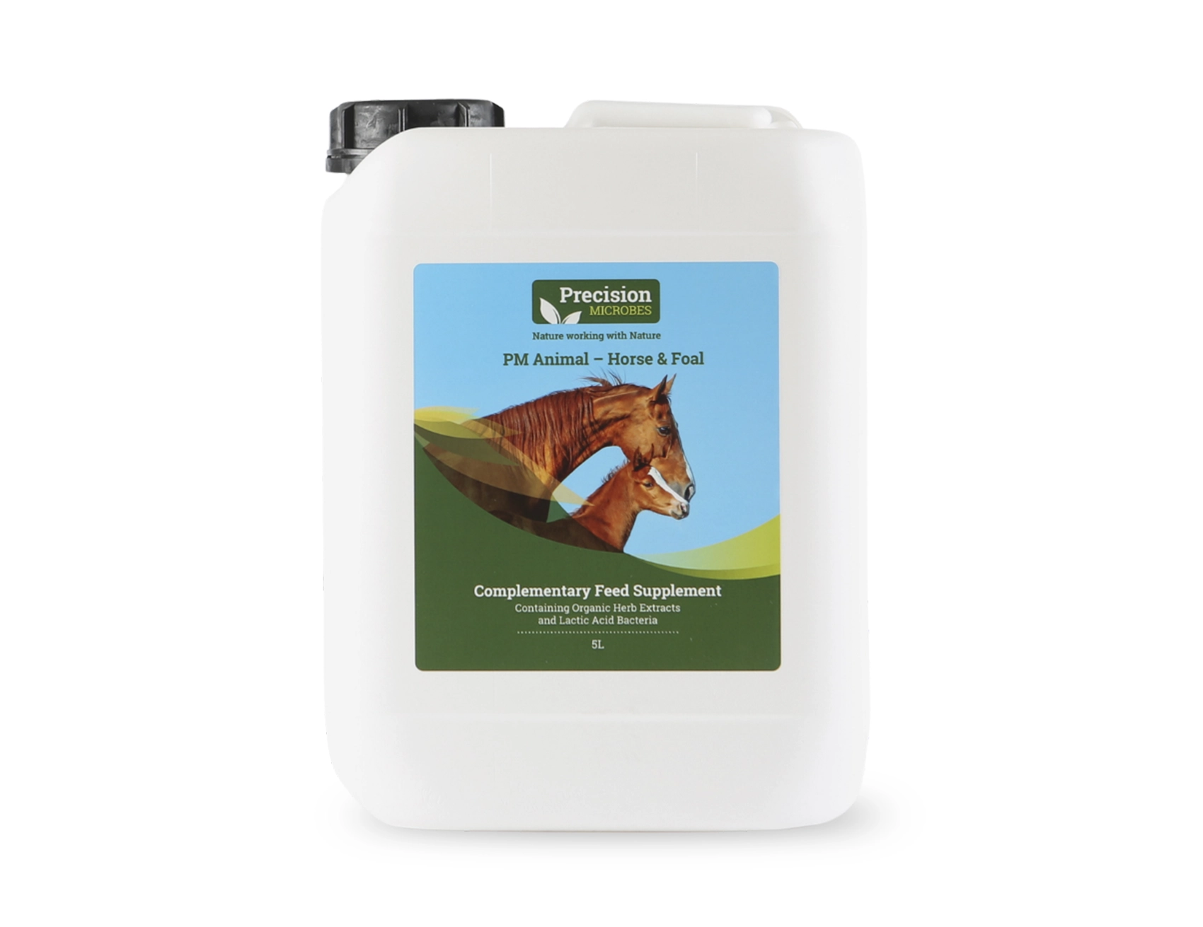 PRECISION MICROBES - EQUINE – Equine | 4Sight
